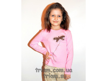 �������: 4040