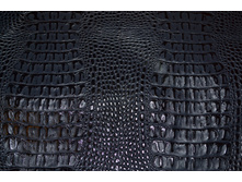 ������ �����.JPG