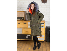 ������ ���.8166, 2500�