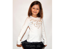 �������: 6043