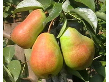 ����� ������������ (�������)-210�.jpg