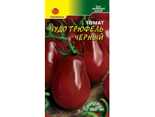 ��������� ������� ������ ��.��� 10,66���. [���.��000002351]