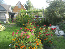 ����������� 005.jpg