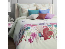 ��� Palitra 2 �� 50*70,70*70