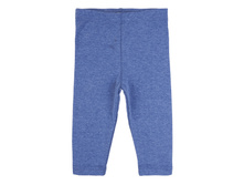 BGW17-10002 golub-melanzh.jpg