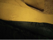 IMG 20161118 172952 HHT.jpg