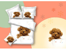 00*4 ��� �� ������ (��) "����*���"