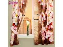 Siren fotoshtory 02977.jpg