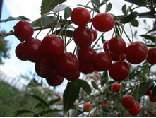 ����� ���������-410�.jpg