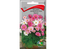 ������ ����������� �������.jpg