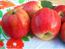 ������ ������� (�������)-180�.jpg