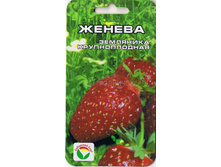 ��������� ������ ��� ��� 19,60 ���.