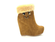 ������� ����������� GLOSSI - 2950 ���