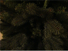 ������ �����