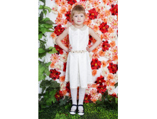 Picture         2016-2-12-16-56-10 file 508.jpg