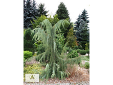 ������������ com. Horstmann 40-60cm C5-28,98