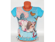 �������: 6010