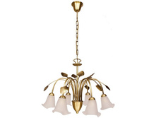 256015806 4000�.jpg