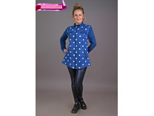 �0066, 570���, 42-56��.