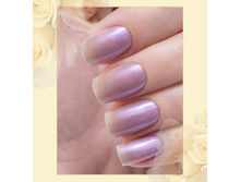 Poly-Chrome 352-60 ���.jpg