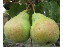 ����� �������-400�.jpg