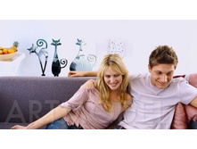 11 ��������� ������ Funny Cats, ���.����