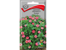 ������ �������� ������� (����������).jpg