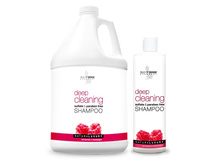 ������� �������� �������