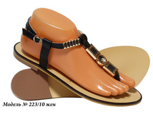 223-10 ���.jpg