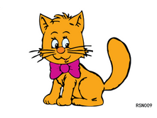 RSN009 %U00AC---.png