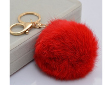 br004 �������