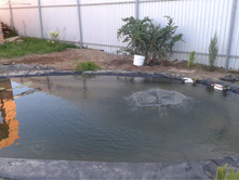 ����-0011 (2).jpg