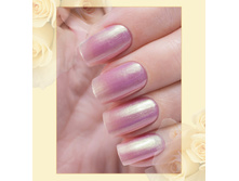 Poly-Chrome 354-60 ���.jpg