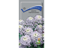 ������ ������������.jpg