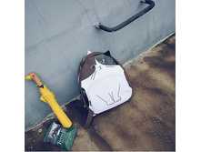 ������ ���