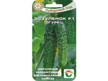 ������ ��������� F1 ������� 16,14���. [���.10000752]