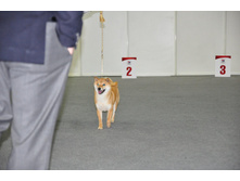 �1.jpg
