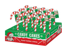 ������ ��������