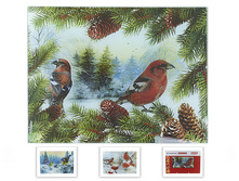 ����� ����������� (������) 20*30*0,5��. "�����" (3����) (���������� ��������) Best Home Kitchen, ��������: ������, ���: NL5340227, �������: NL5340227 168�