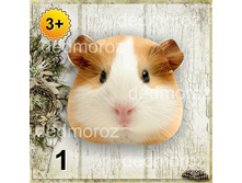 ������ �������� ��� ������ 3+