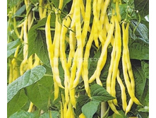 ������ ������� ������ ����. 5� (��)7,50 ���. [���.��000010685]