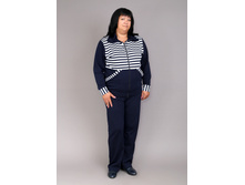 ���0012, 850���, 50-60��.