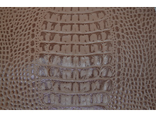 ������ ��������.JPG