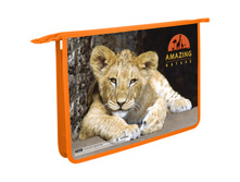 ����� ��� ����� 2 ���������, �4 ����� �����, �������, �� ������ 132,79.jpg