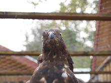 ���������20080901-31.JPG