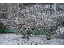 DSC08985.JPG