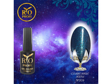 009-��������� ����