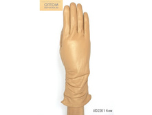 UD2201 ���.jpg