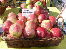 ������ ����� ���������� (����� �����������) (�������)-180�.jpg