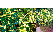 148���. ��������� ������� ������ ���17.jpg